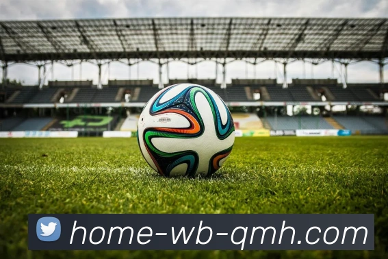 NBA国王队球员名单：盘点NBA国王队本赛季的球员阵容与变化